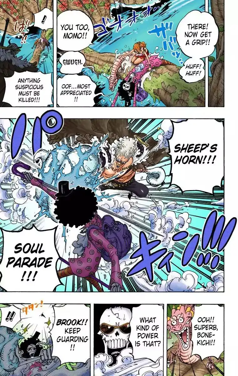 One Piece - Digital Colored Comics Chapter 795 7